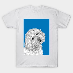 Cockapoo Dog Portrait ( blue background ) T-Shirt